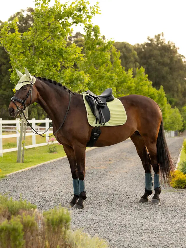 LeMieux Air-Tek Mesh Dressage Square Macaron