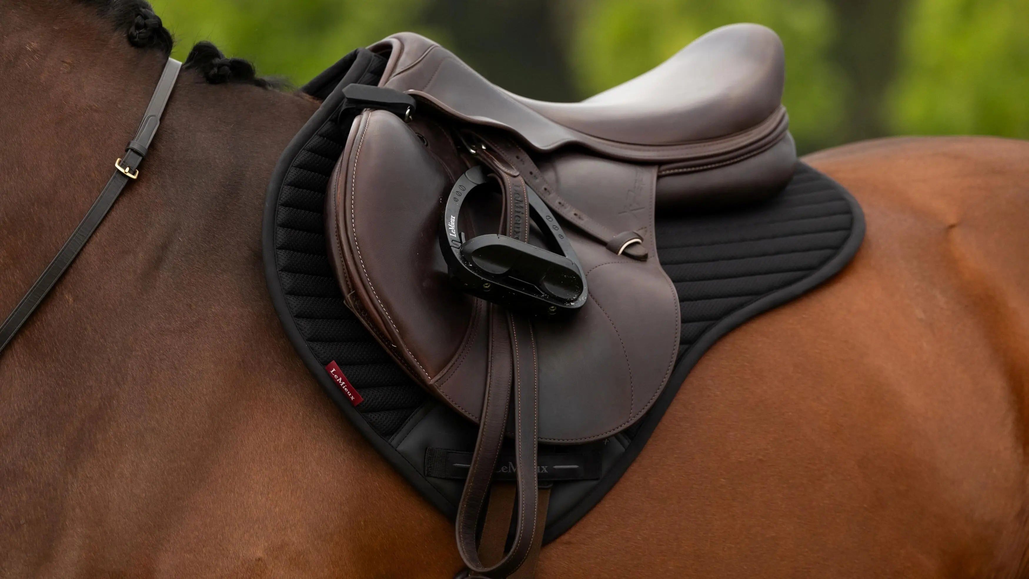 LeMieux Air-Tek Mesh close contact saddle pad Shadow breathable cooling saddle pad