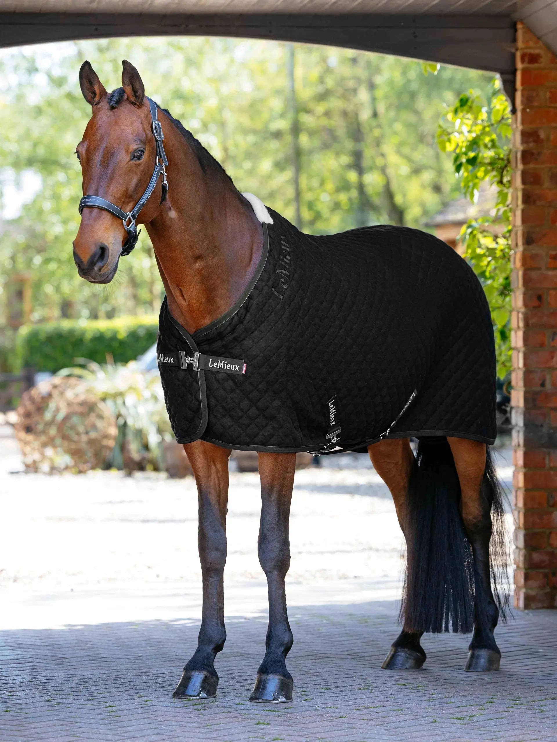 LeMieux Arika Clima-Tek Rug Black