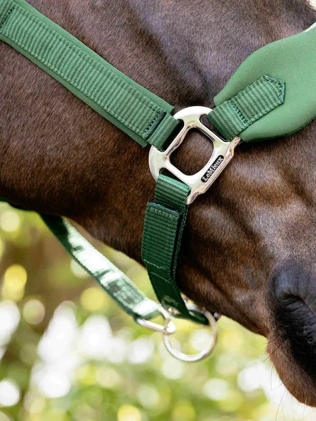 LeMieux Breakaway Vogue Headcollar Hunter Green