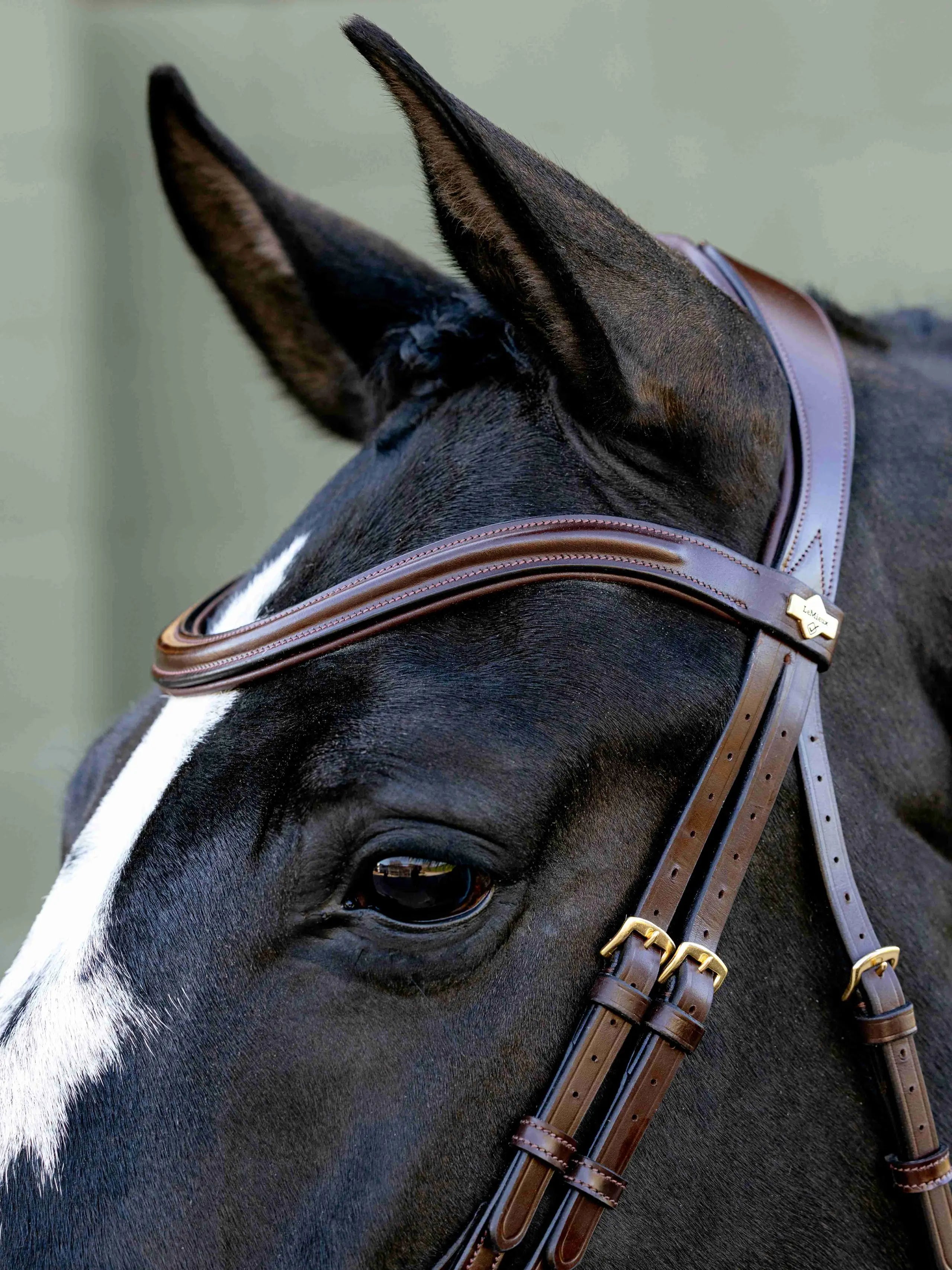 LeMieux Kudos Sport Bridle: Brown leather horse bridle with brass fittings & white blaze.