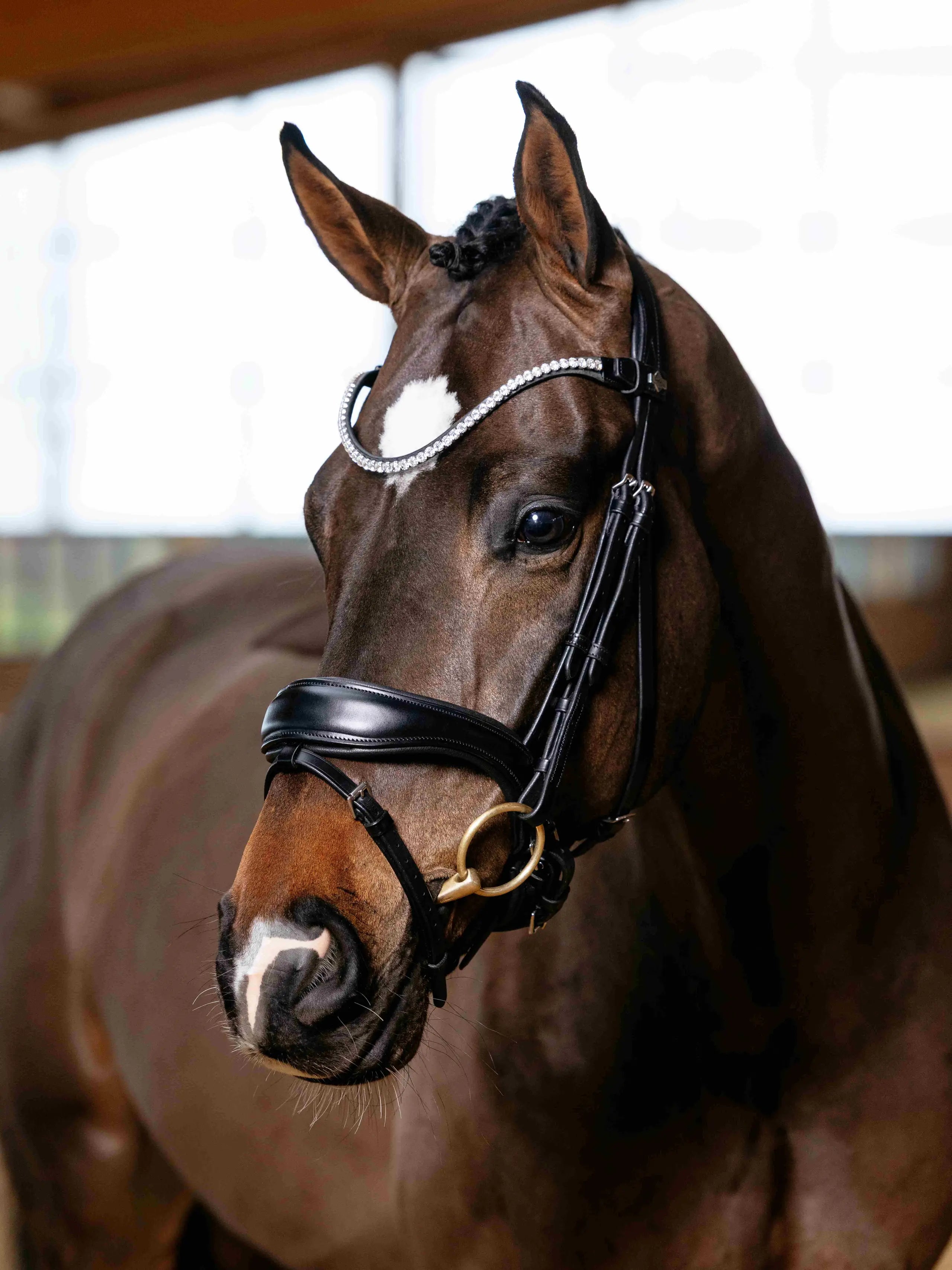 LeMieux Kudos Anatomical Dressage Bridle Black on a horse, featuring crystal browband and premium leather.