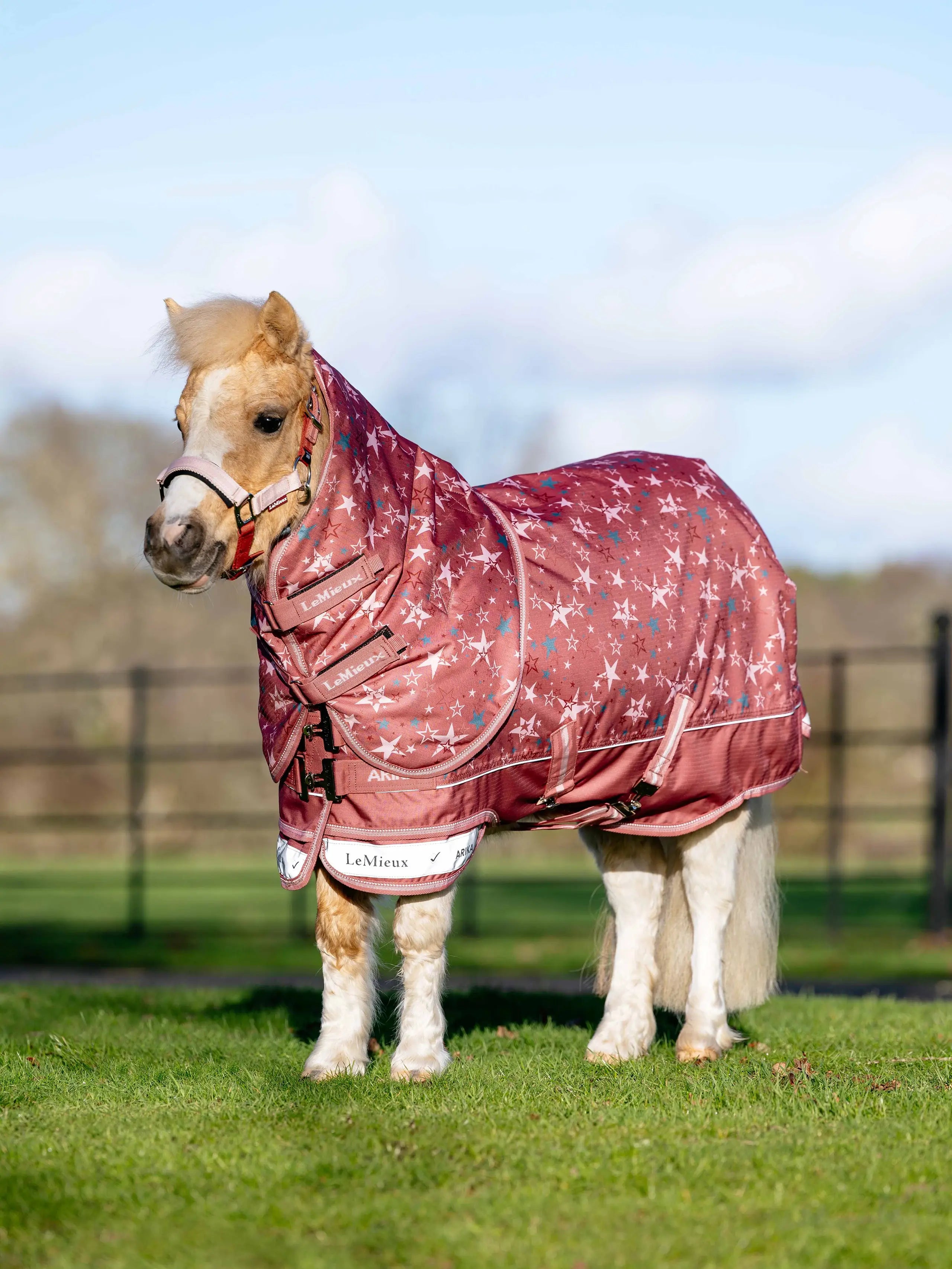LeMieux Arika Star Turnout Rug 100g Spiced Earth