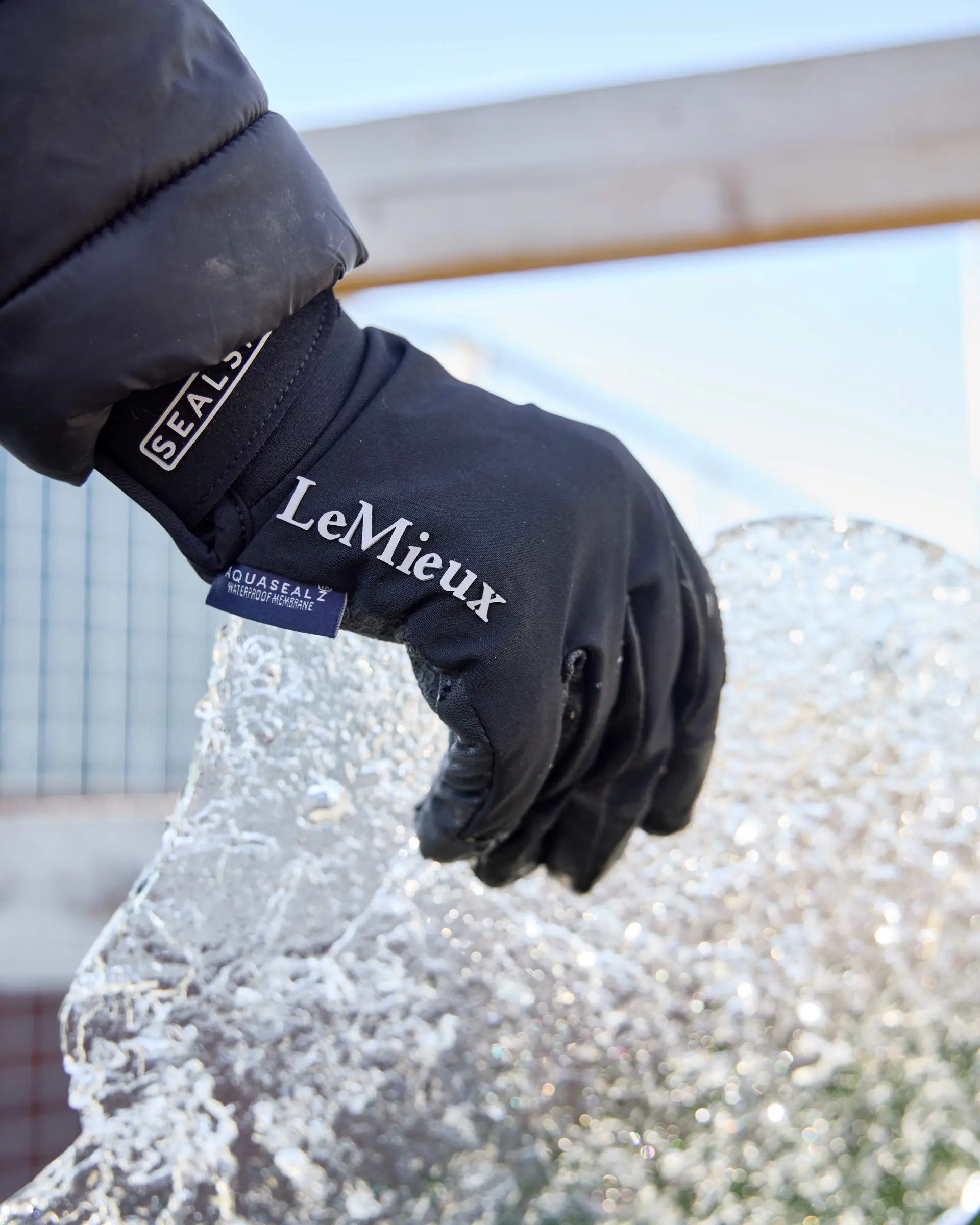 LeMieux Sealskinz Waterproof Glove Black | Equiflair