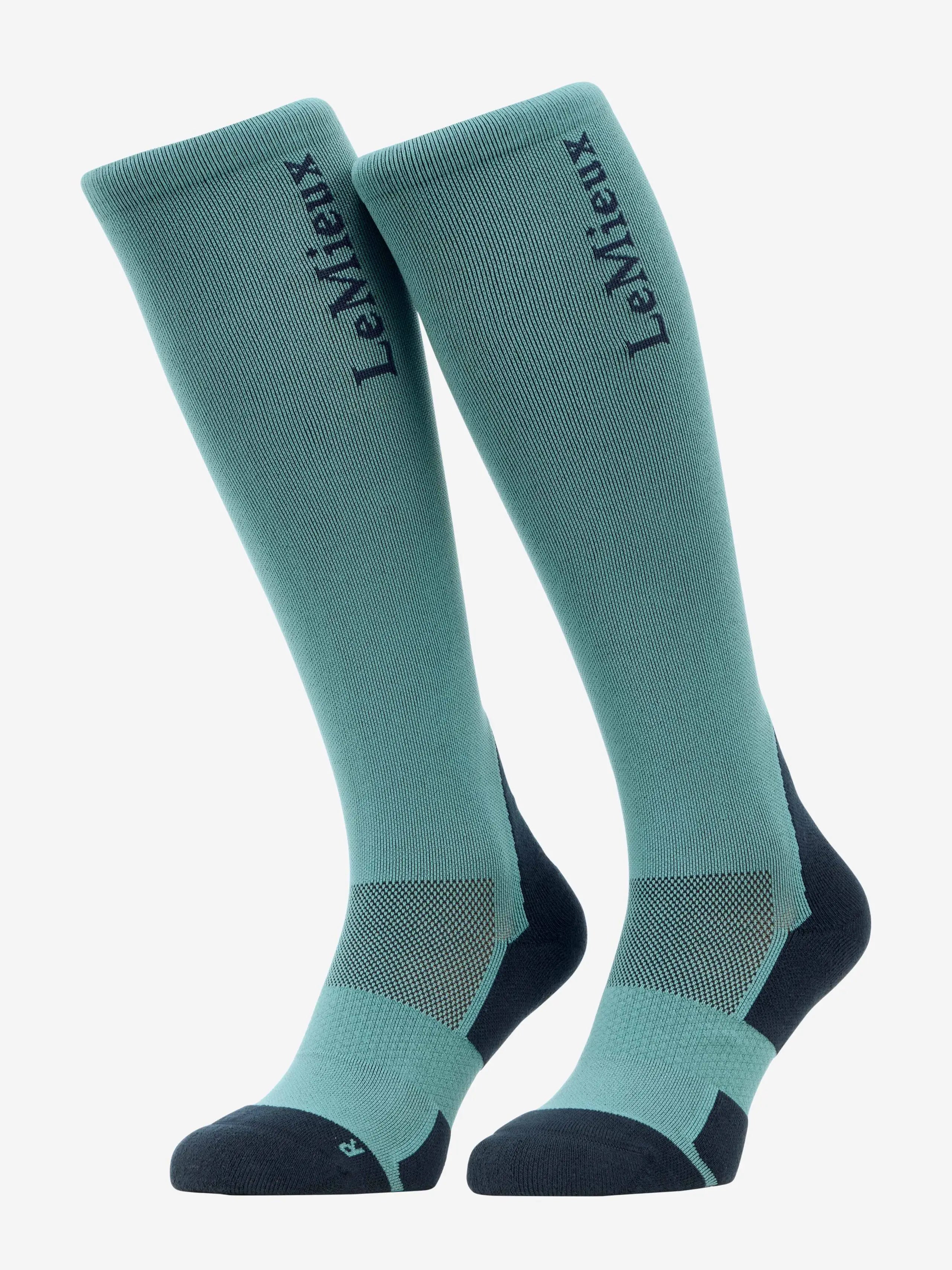 LeMieux Performance Socks Aloe
