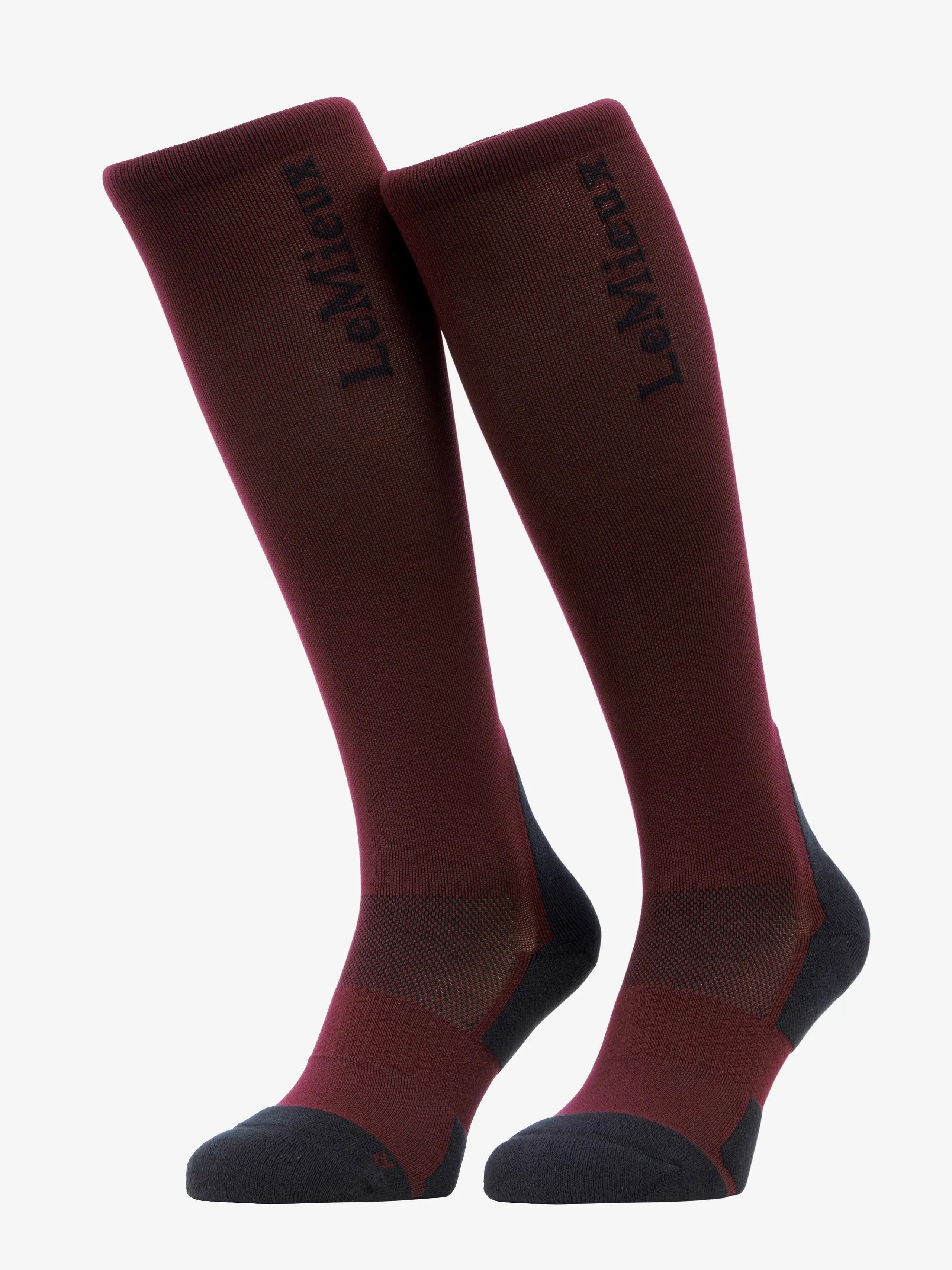LeMieux Performance Socks Bramble