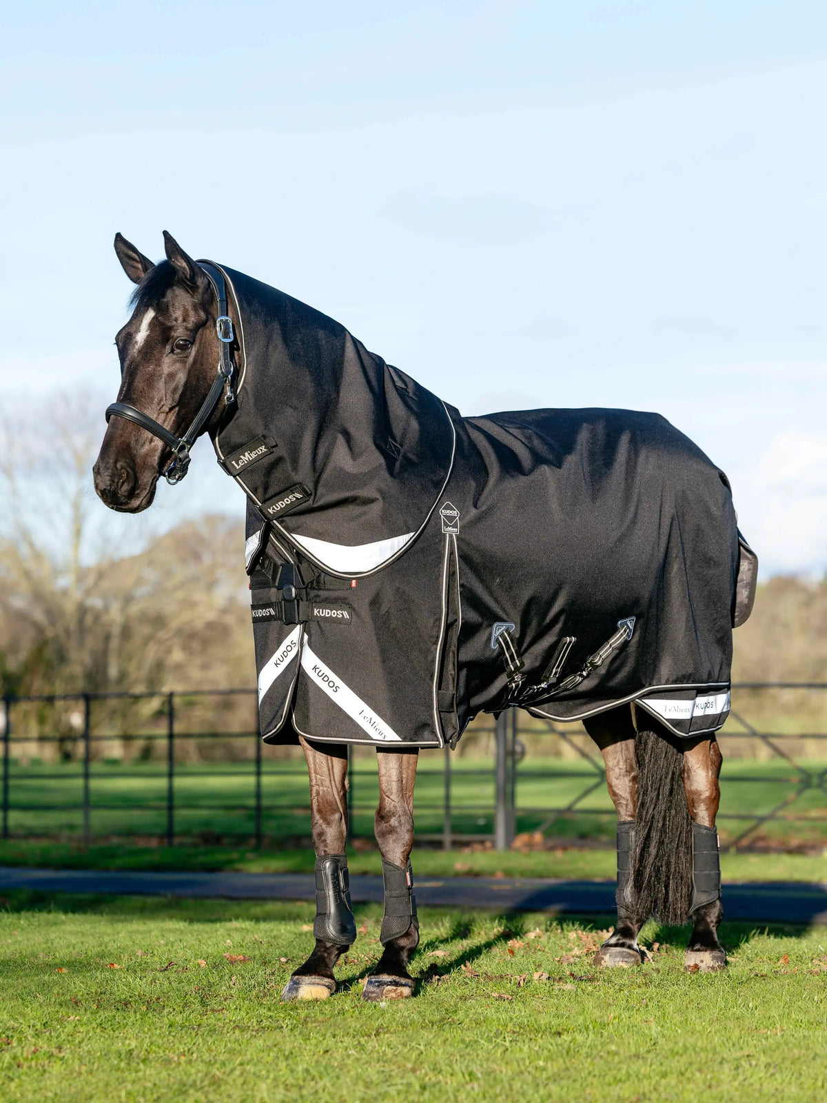LeMieux Kudos Neo-Turnout Rug 100g Black on horse, waterproof equestrian horse rug
