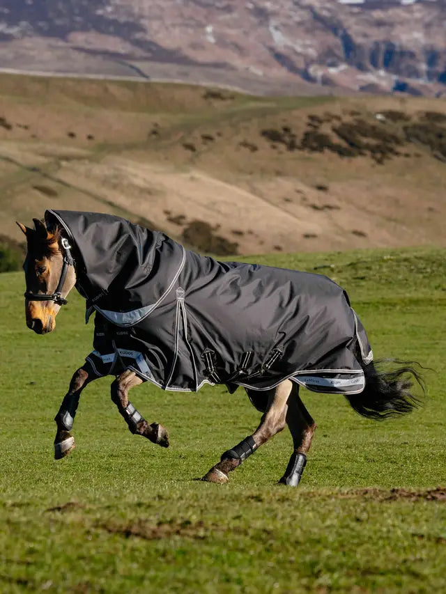 Horse wearing LeMieux Kudos Turnout Rug 200g Black in a field, showcasing its waterproof and secure design.