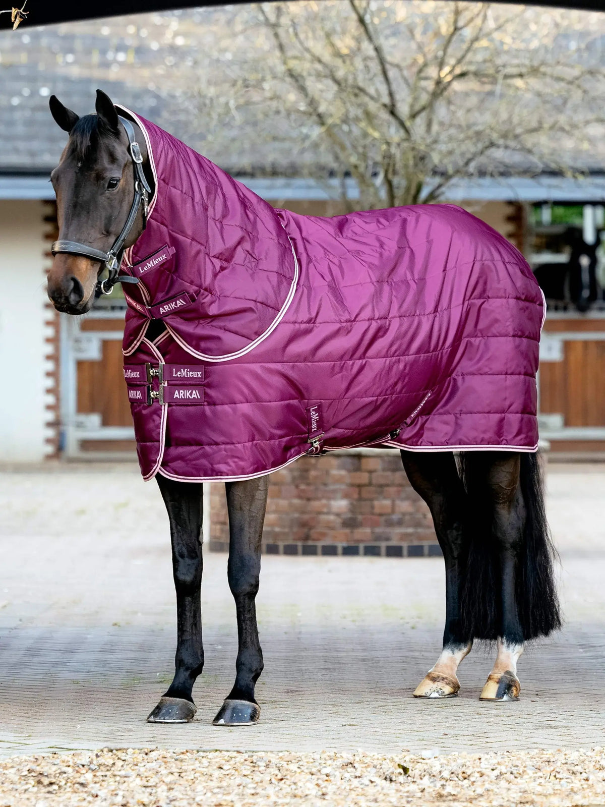 LeMieux Arika Stable-Tek Rug with Neck - Blackberry