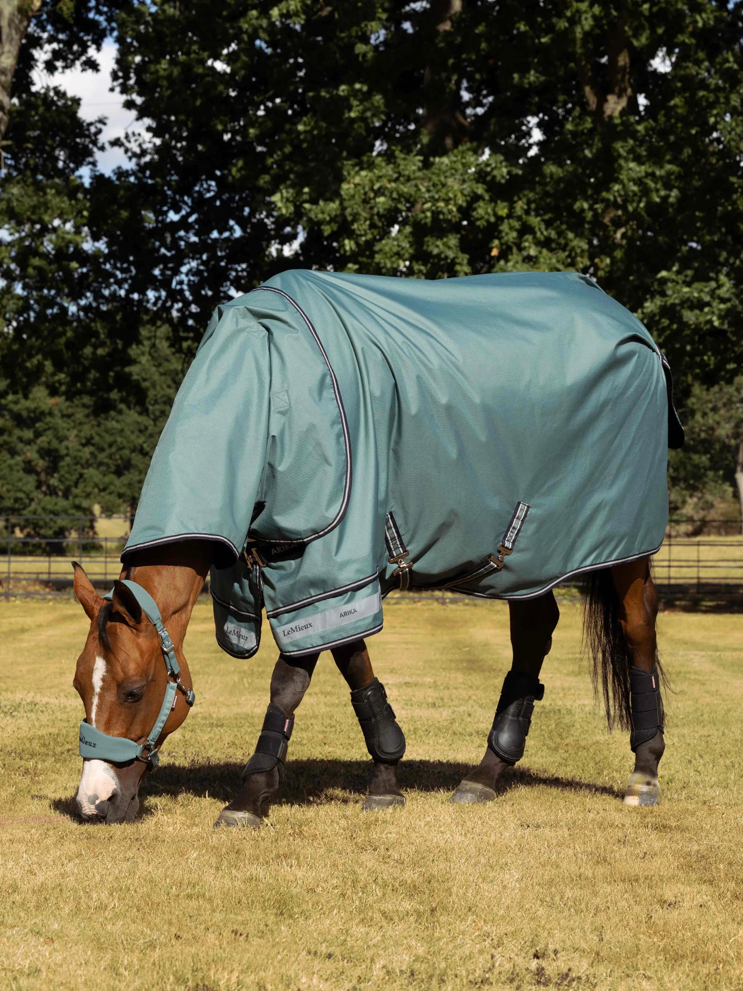 LeMieux Arika Ripstop 100g Turnout Rug Aloe