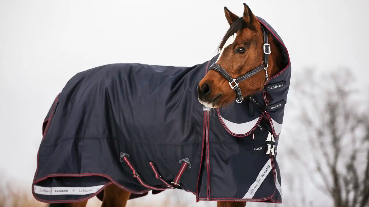 Kudos Turnout Rug 200g Navy (Without Leg straps)
