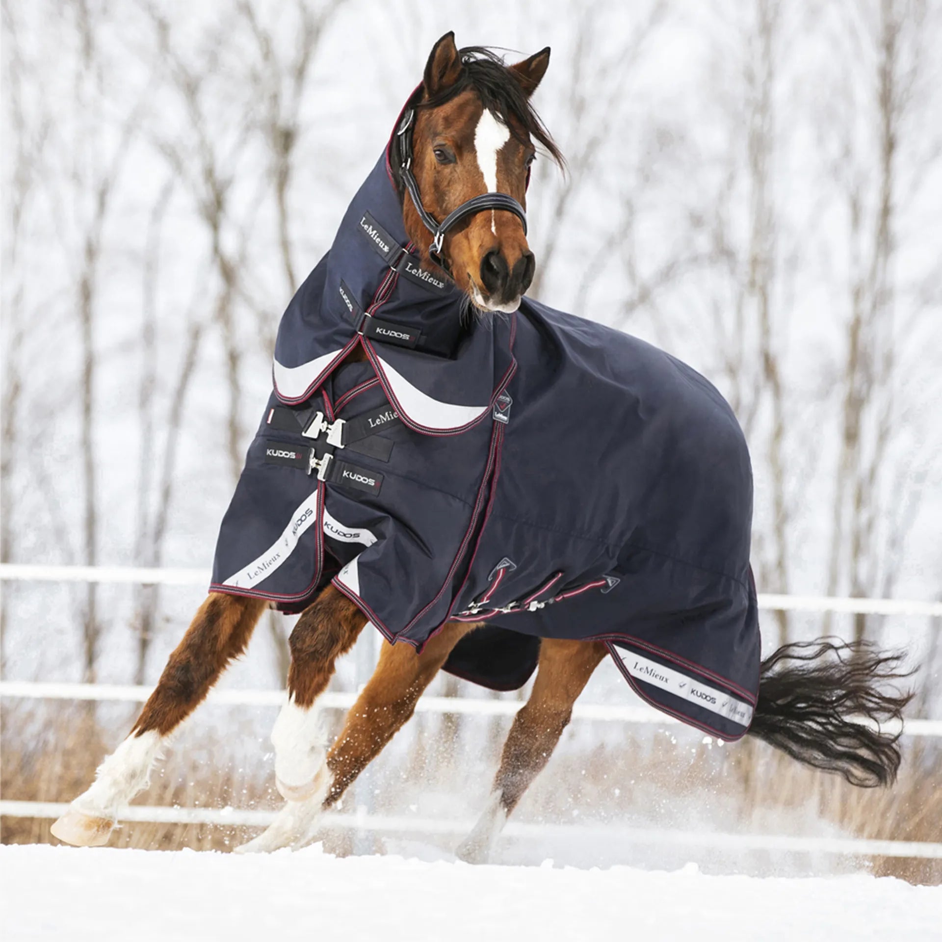 Kudos Turnout Rug 200g Navy (Without Leg straps)