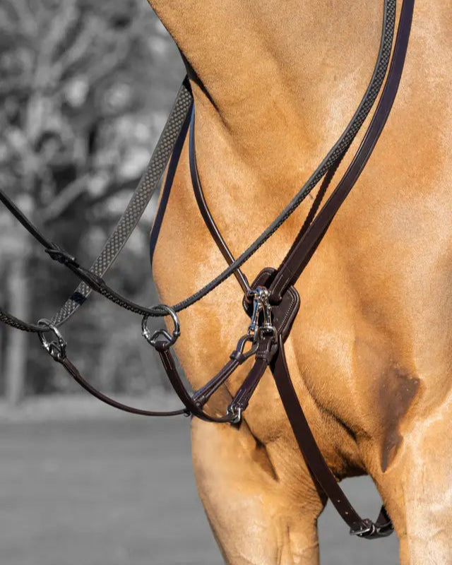 LeMieux Kudos Running Martingale Brown/Silver