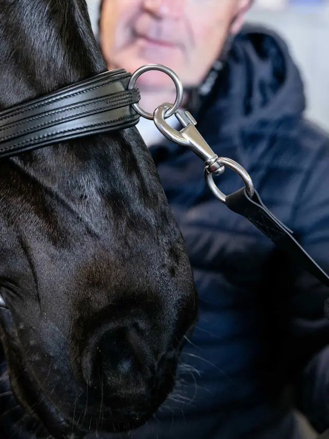 LeMieux black leather horse cavesson with metal clip for training and lunging