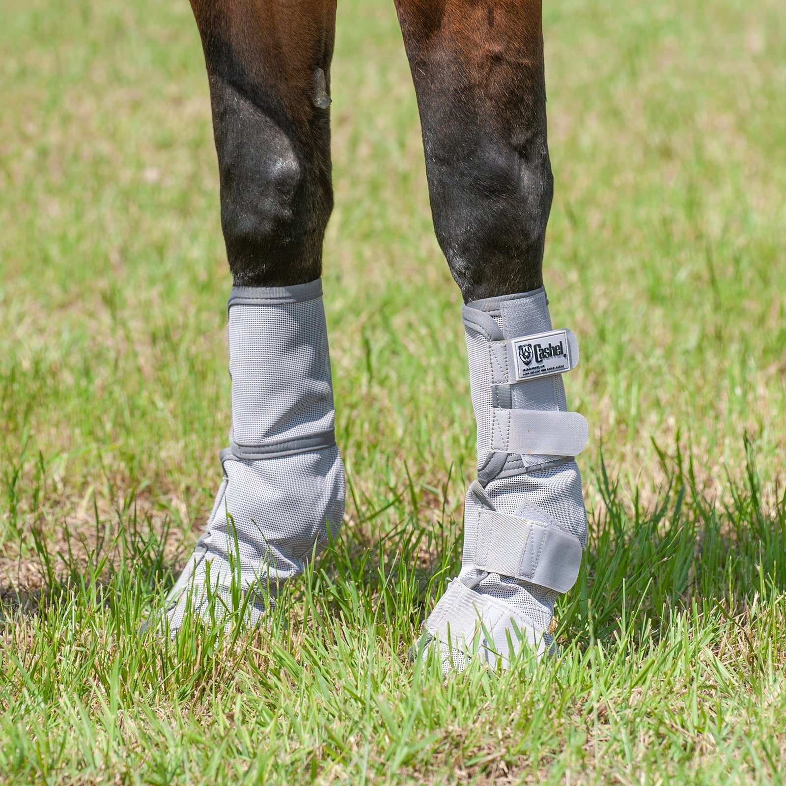 Cashel Crusader Horse Leg Wraps - Fly Protection - Equiflair