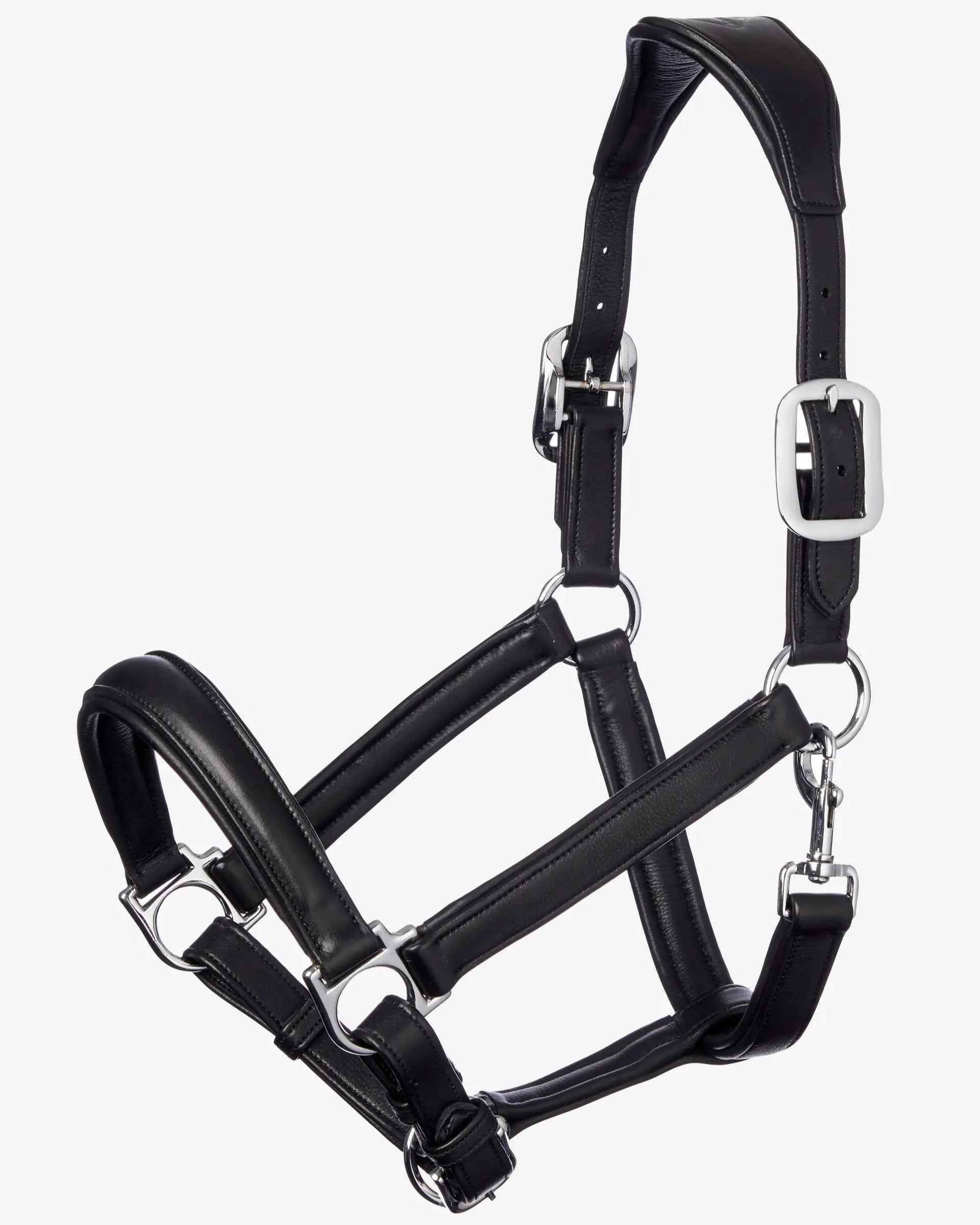 LeMieux Anatomic Headcollar Black