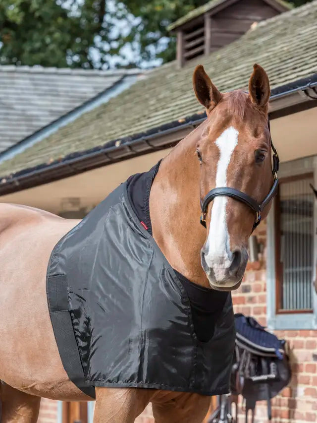 Lemieux Anti-Rub Bib: Black Horse Chest & Wither Protector for Equine Comfort. No Rubs!