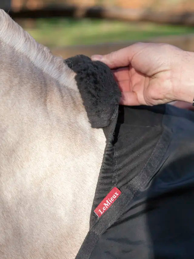 LEMIEUX Anti-Rub Bib Black for Horses: Wither Protection, Comfortable Horse Rug from Equiflair. Prevent Rubs!
