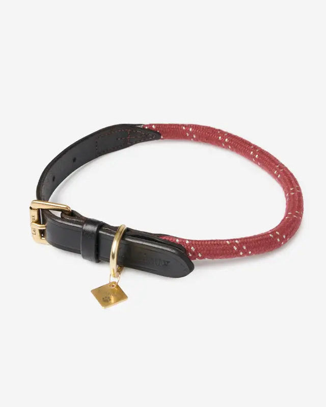 LE MIEUX Ascot Burgundy Rope Dog Collar | Leather & Metal Buckle Pet Collar
