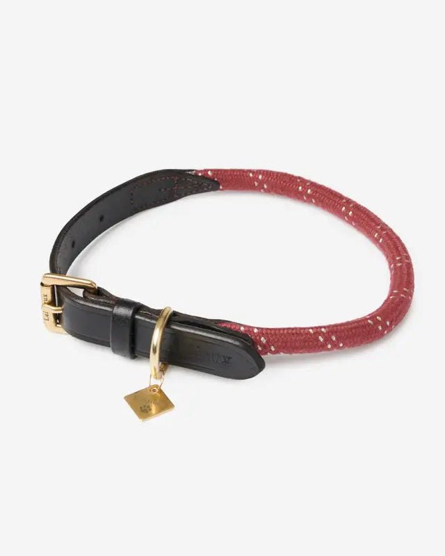 LeMieux Ascot Rope Dog Collar Burgundy | Equiflair