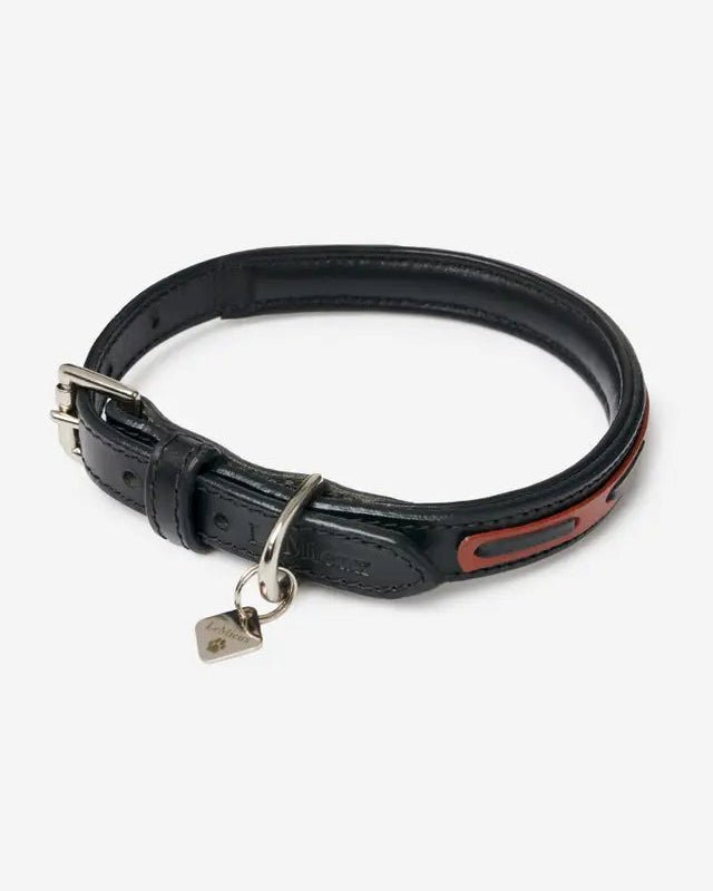 LeMieux Cambridge Dog Collar Black/Tan | Equiflair