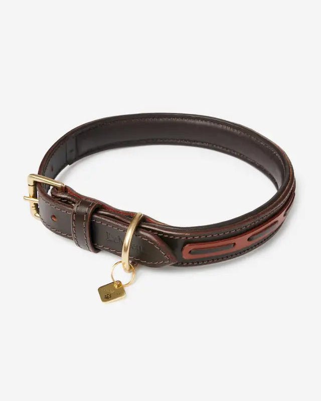 LeMieux Cambridge Dog Collar Mahogany/Tan | Equiflair