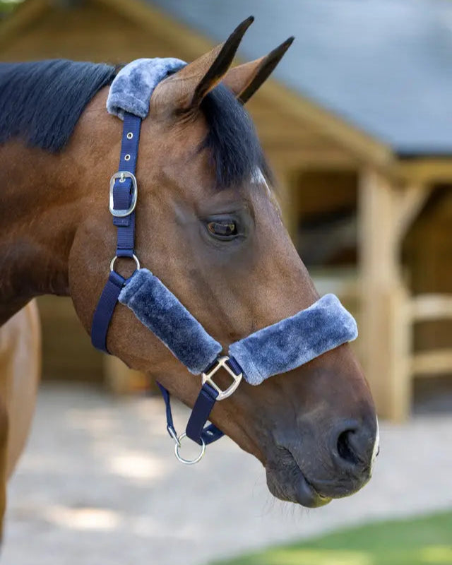 LeMieux Comfort Headcollar Navy