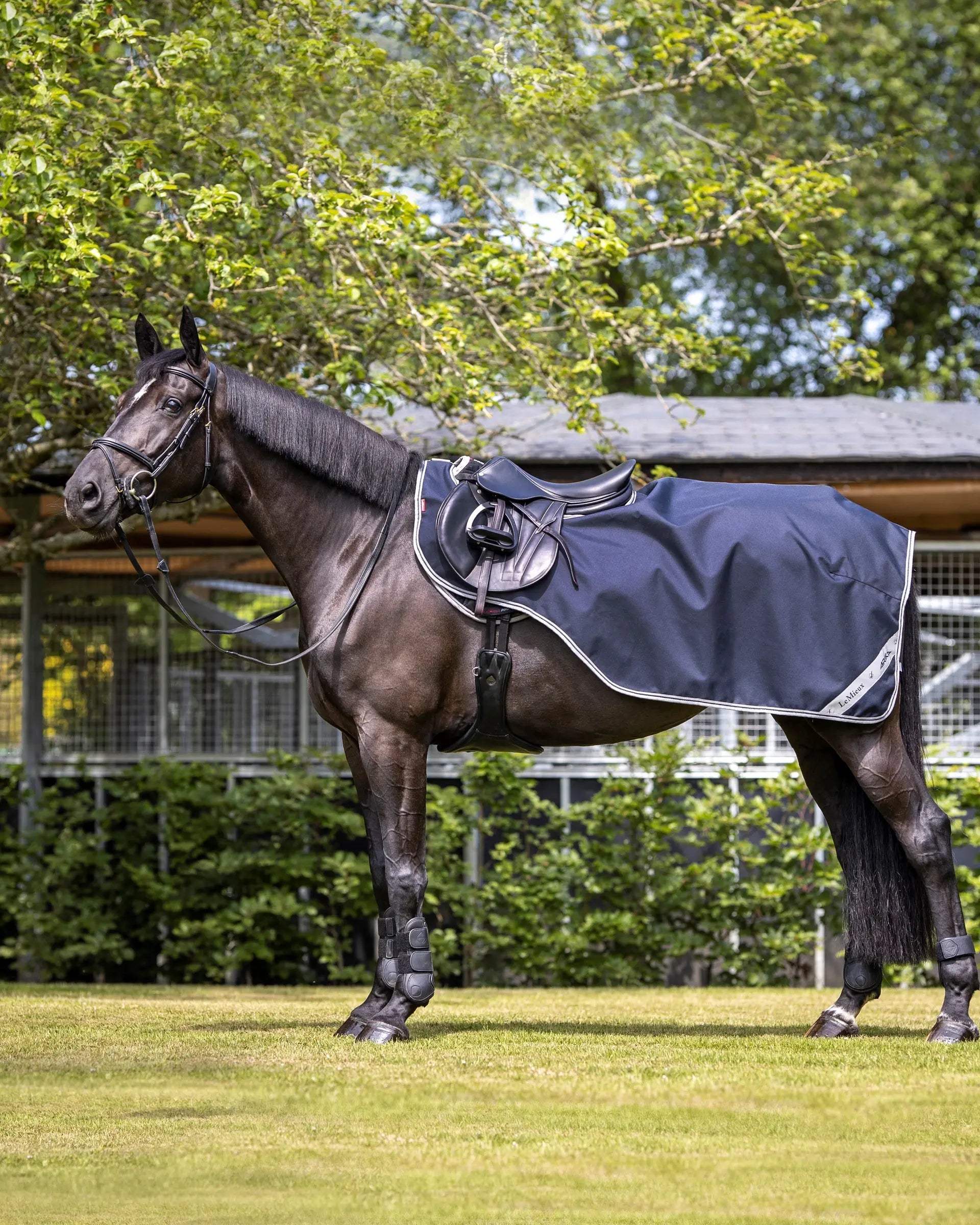 LeMieux Arika Exercise Sheet on a Horse: Waterproof, Breathable, Reflective Safety Features for Warm-Up and Riding. Equiflair Store.