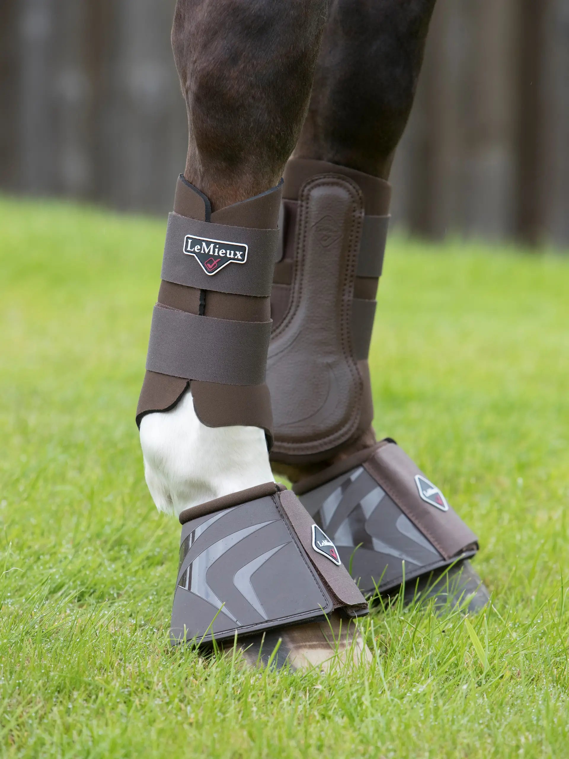 LeMieux Grafter Brushing Boots - Brown Horse Leg Protection Boots