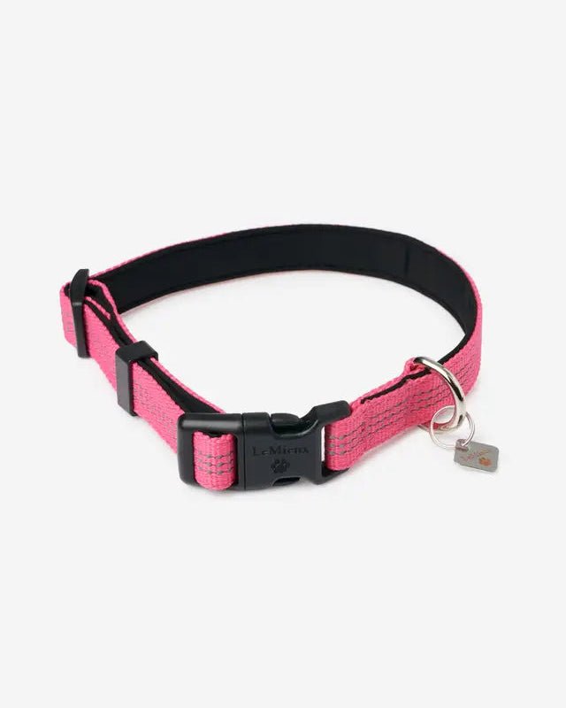 LeMieux Henley Dog Collar Watermelon | Equiflair