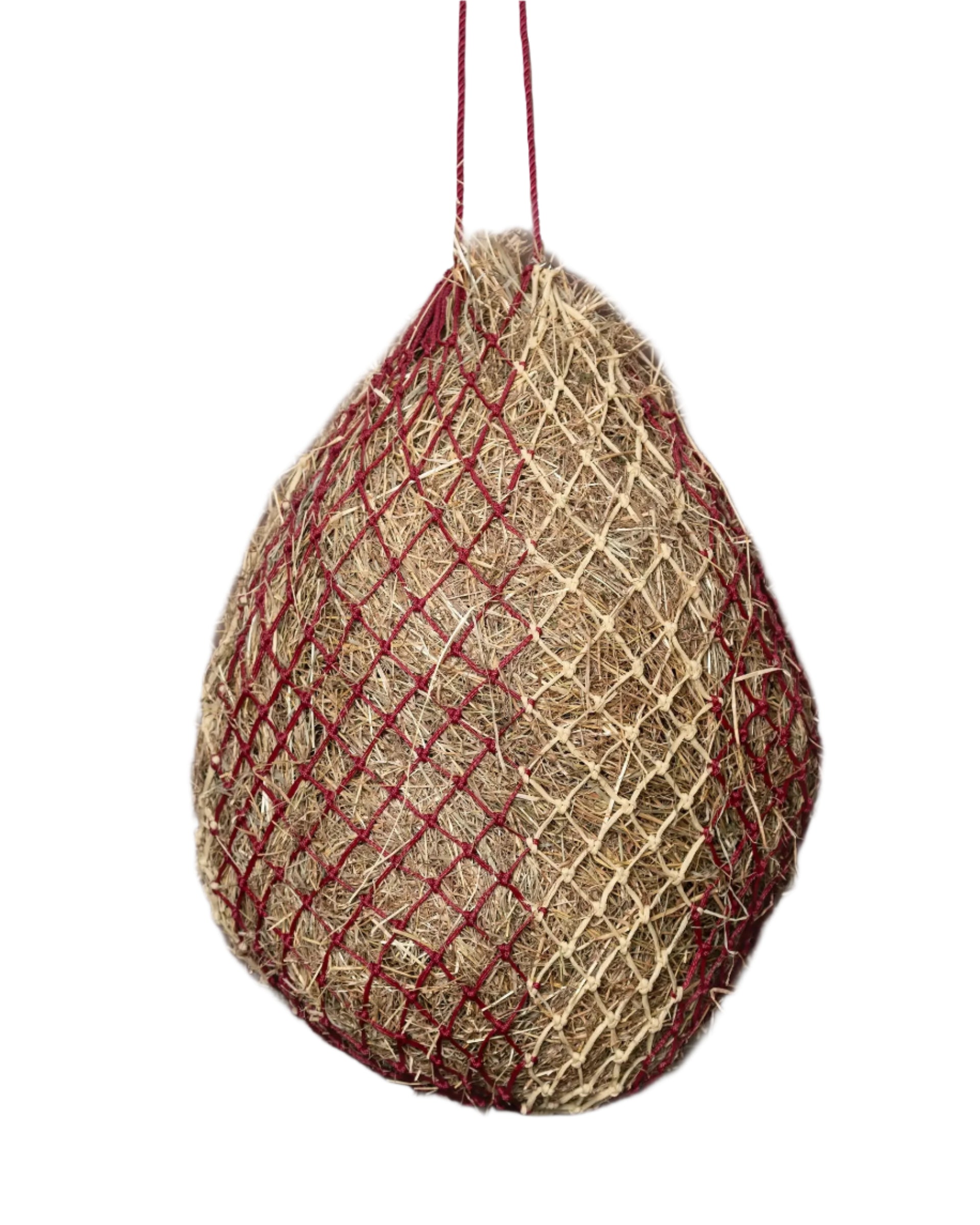 LeMieux Hippo Haynet Burgundy