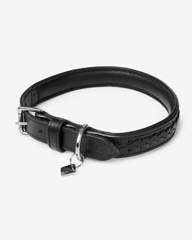 LeMieux Oxford Dog Collar Black | Equiflair