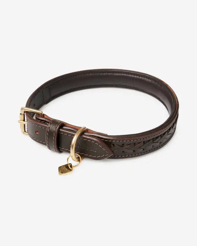 LeMieux Oxford Braided Leather Dog Collar Mahogany with Brass Fittings | Equiflair