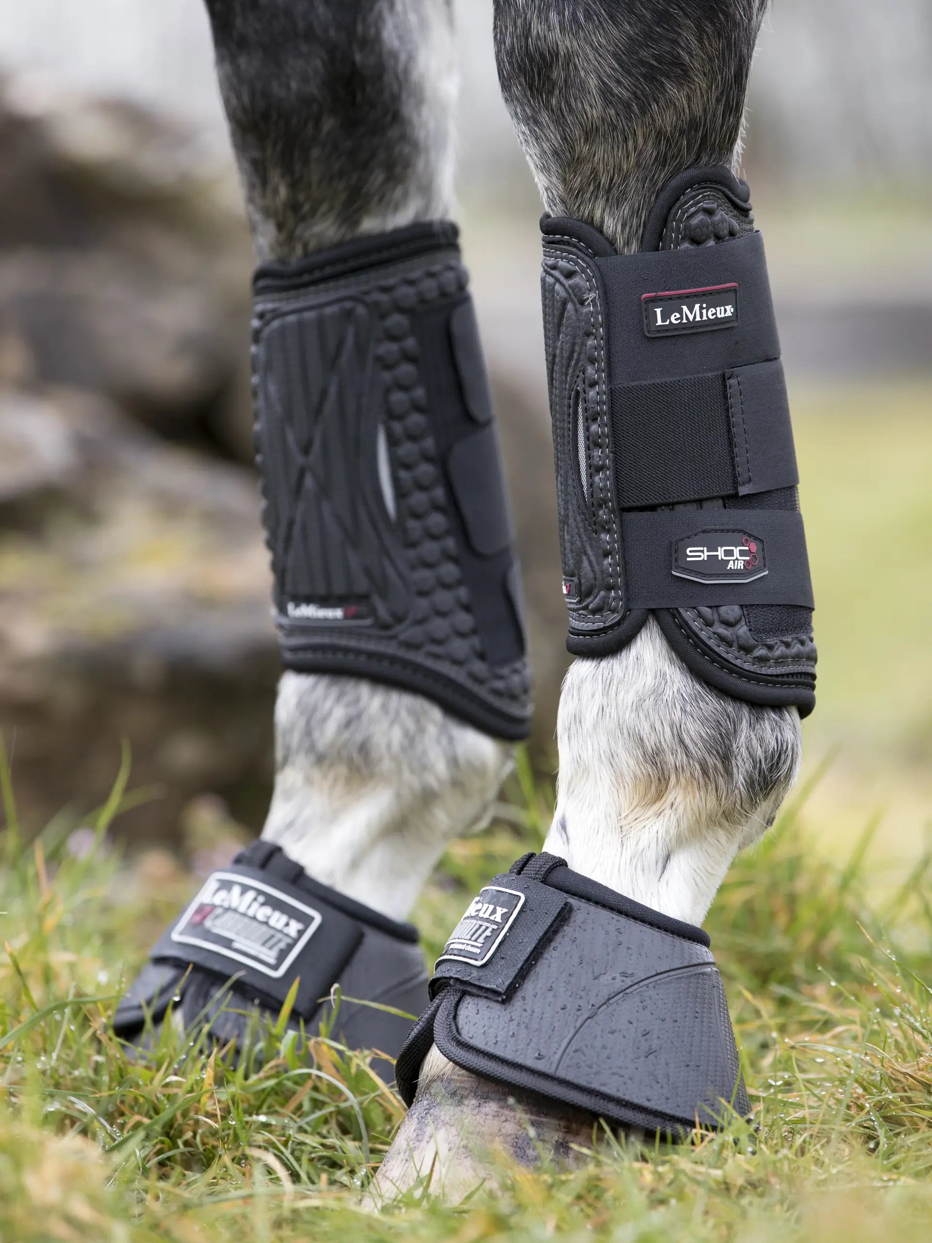 LEMIEUX SHOC AIR XC FRONT BOOTS Black - Equine Horse Protective Boots