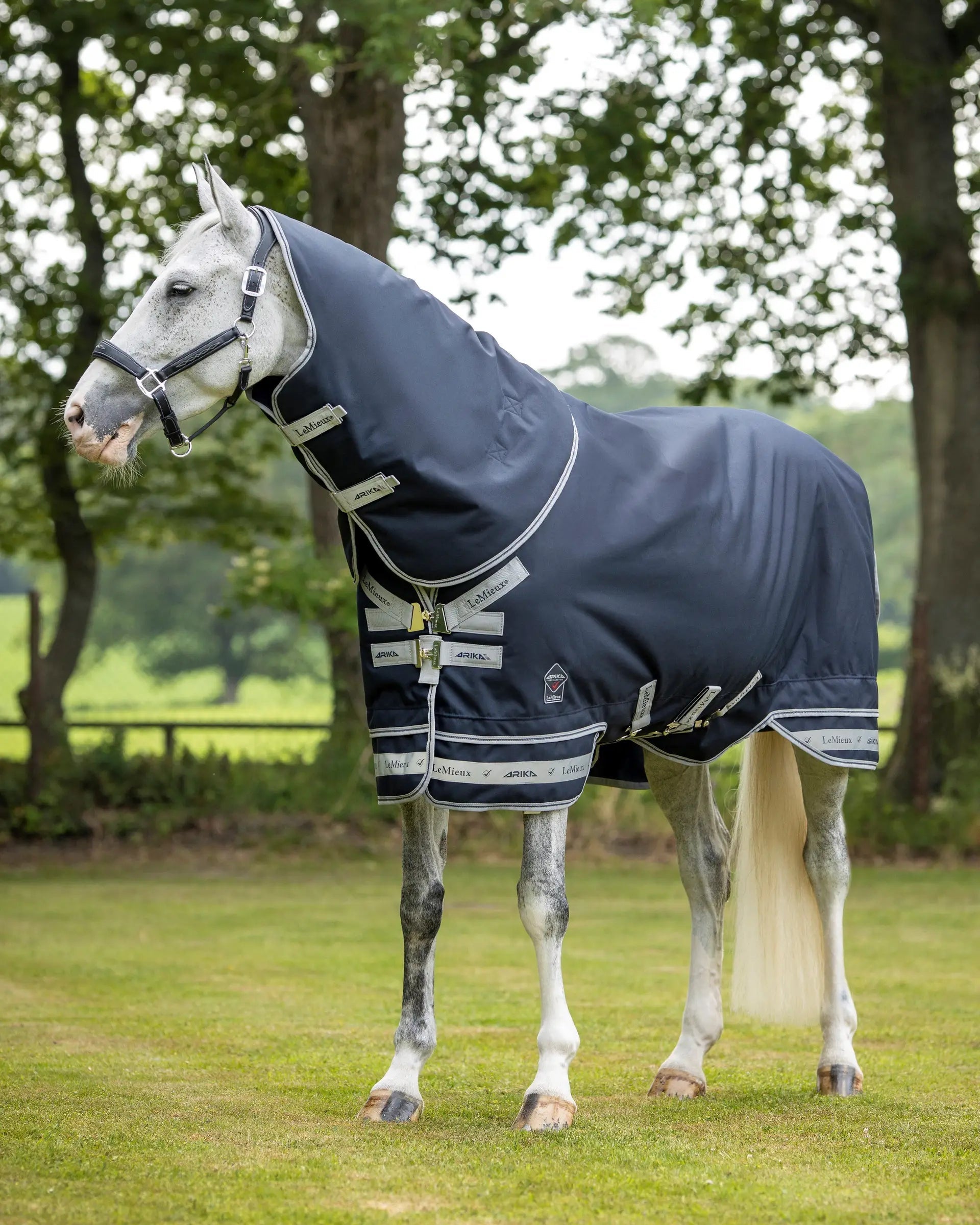 LeMieux Arika Featherweight Horse Rug in Navy: Breathable Turnout Rug
