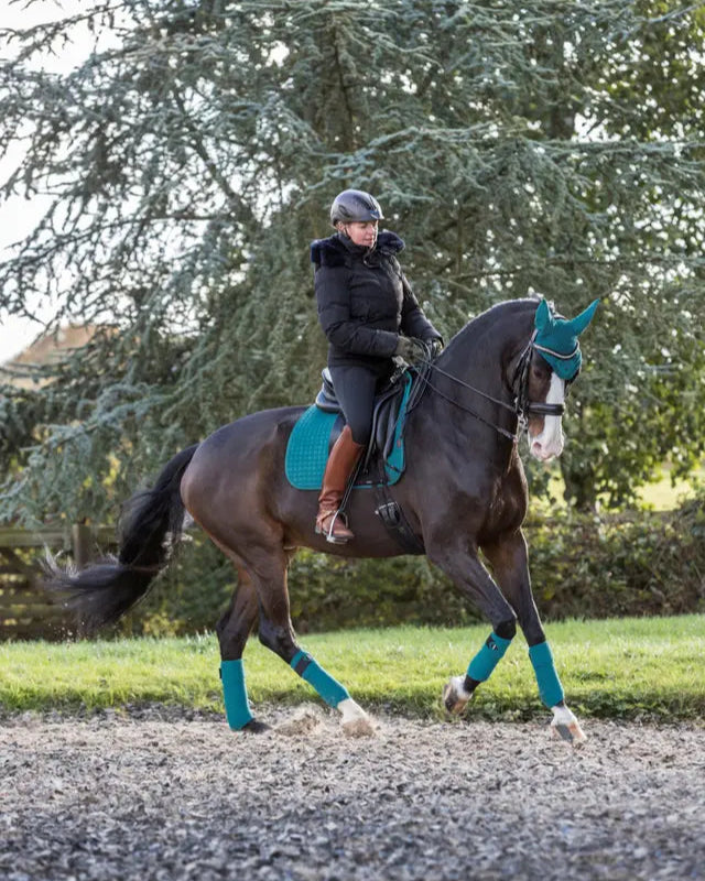 LeMieux Classic Polo Bandages Peacock