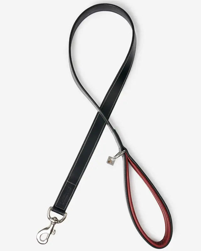 Lemieux Windsor Dog Leash: Black Leather with Burgundy Padded Handle, Metal Clip & D-Ring. Premium Pet Lead from…
