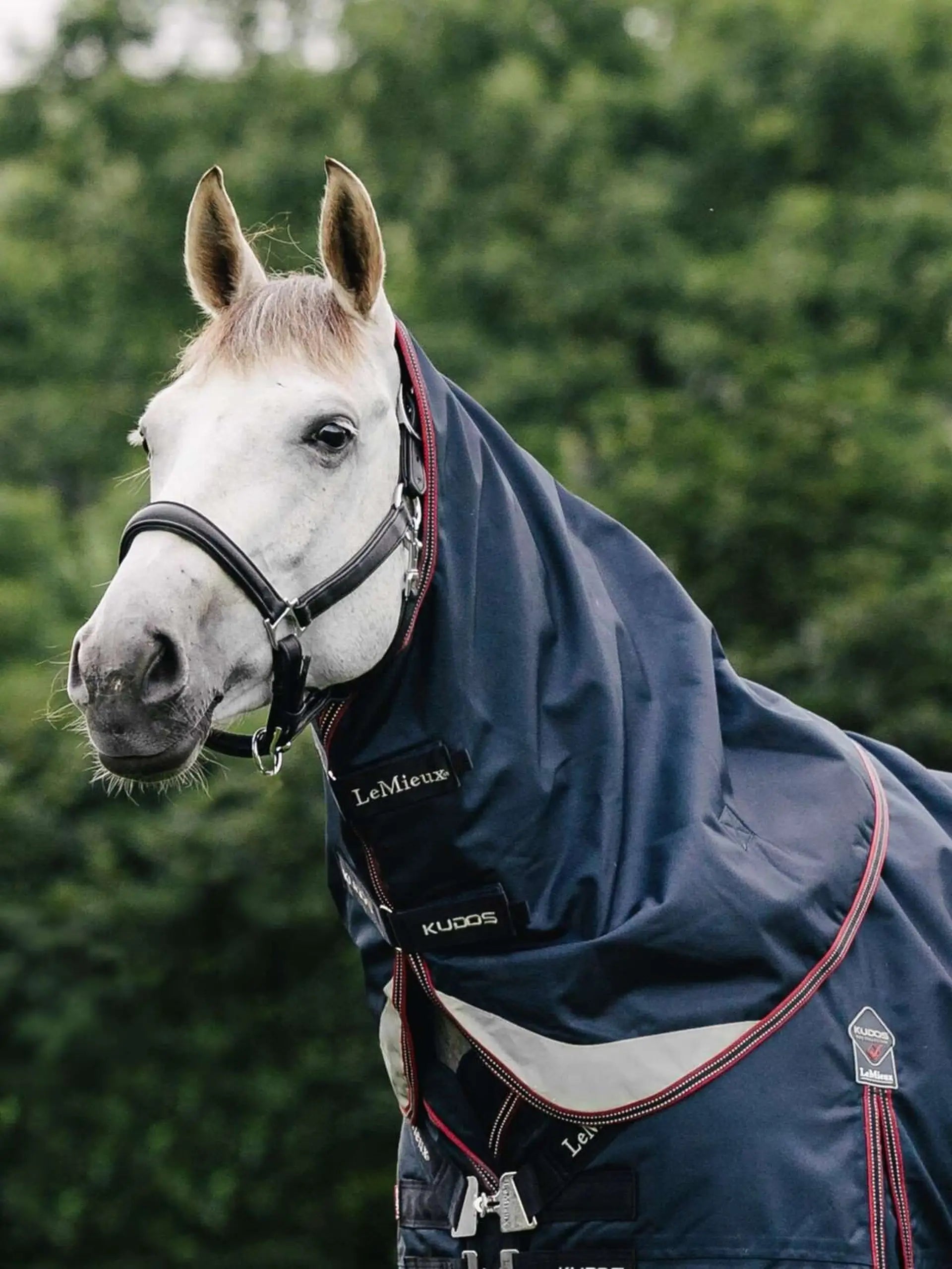 LeMieux Kudos Navy Horse Turnout Rug Neck Cover: Equine Protection and Style