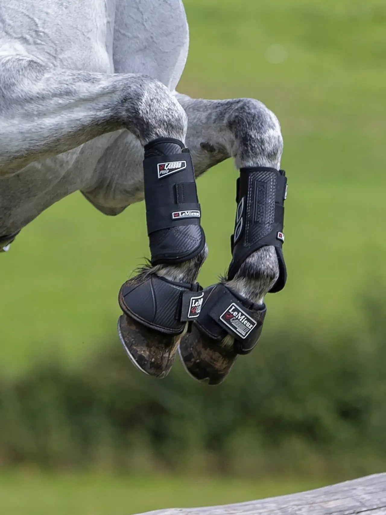 Horse Jumping with LeMieux Carbon Air XC Boots for Protection & Support