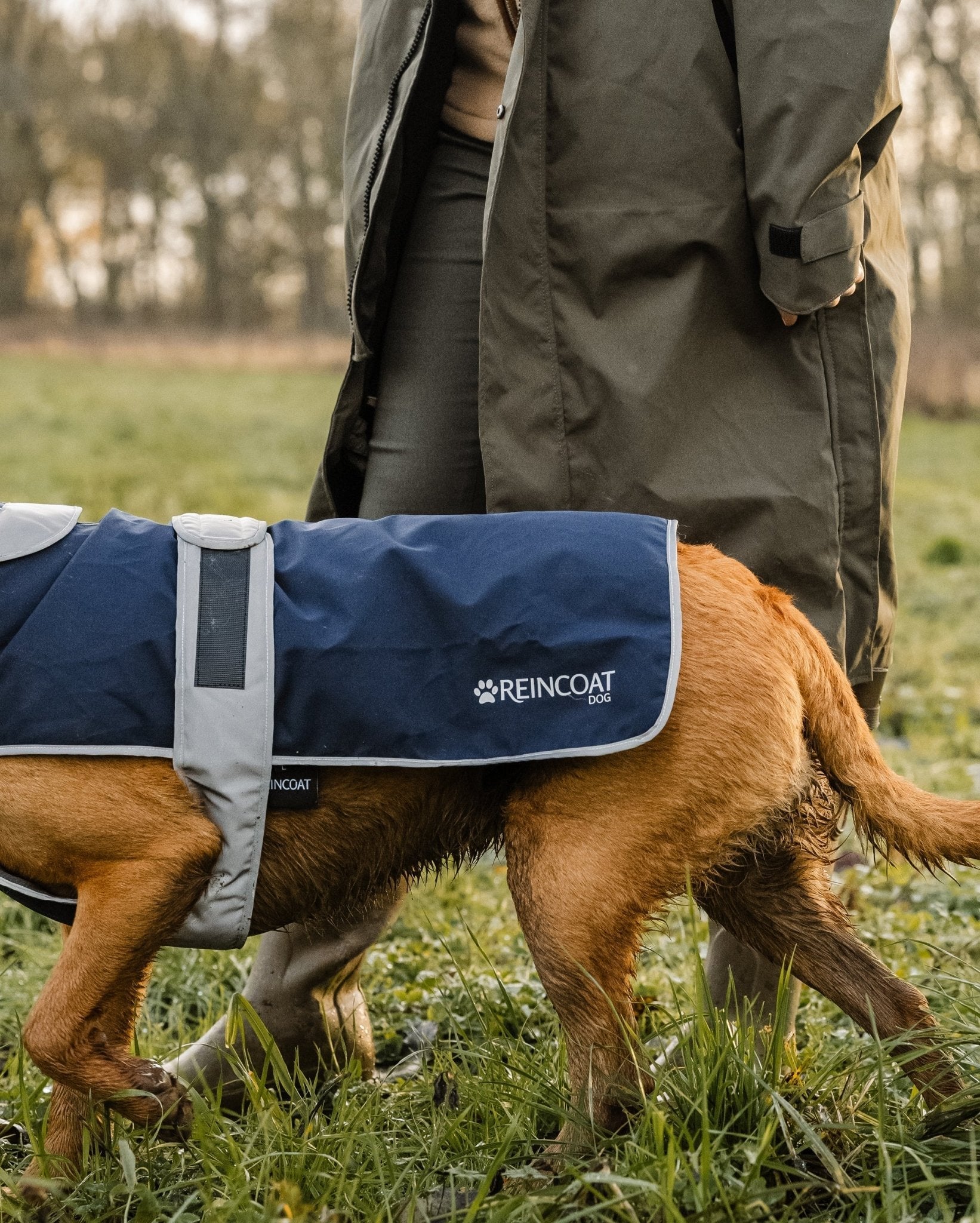 Waterproof Dog Coat Navy - Reincoat | Dog Apparel | Reflective, Adjustable & Stylish Raincoat for Dogs | Equiflair