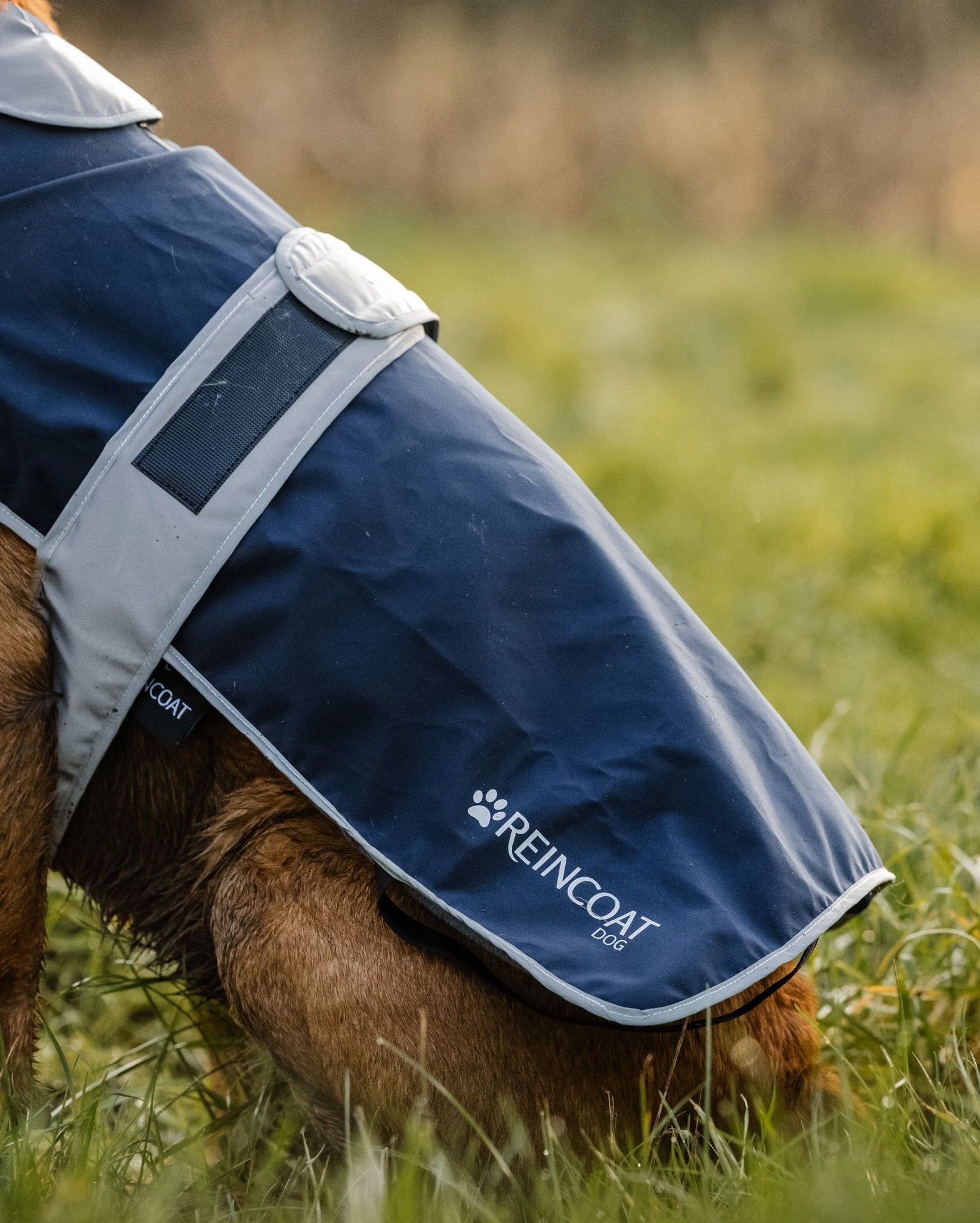 Navy Waterproof Dog Coat | Reincoat Dog Apparel with Reflective Trim | Equiflair