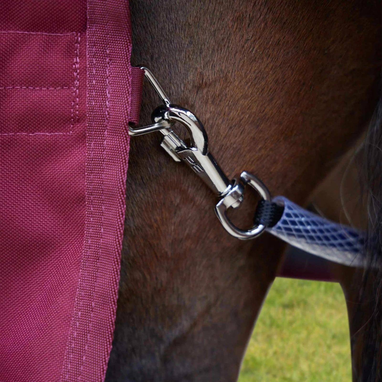 Premier Equine burgundy turnout rug attached to a horse: close-up of the stainless steel hardware and secure fastening.