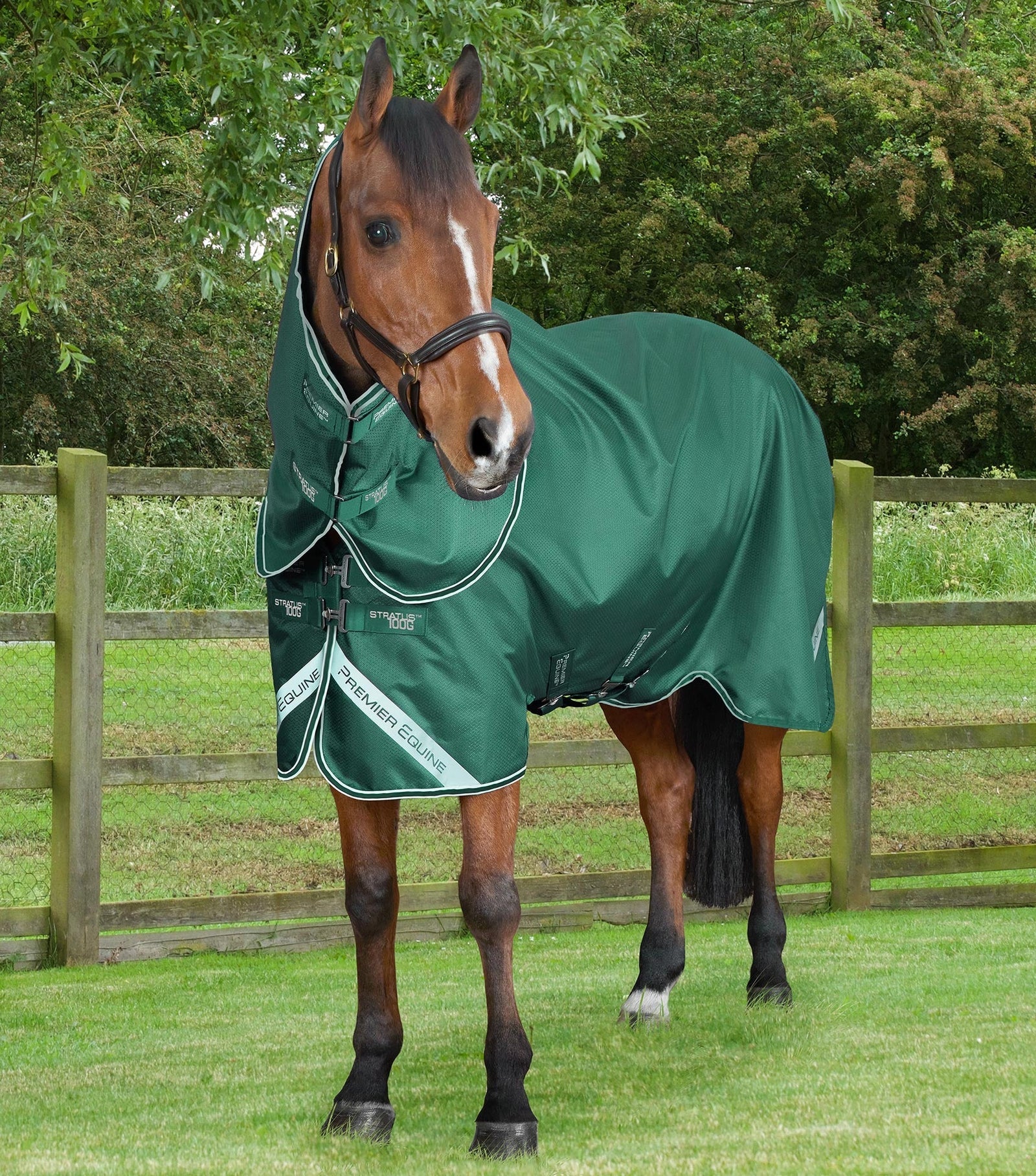 Premier Equine Stratus 600D Green Horse Turnout Rug with Neck Cover. Waterproof horse rug for all weather conditions.