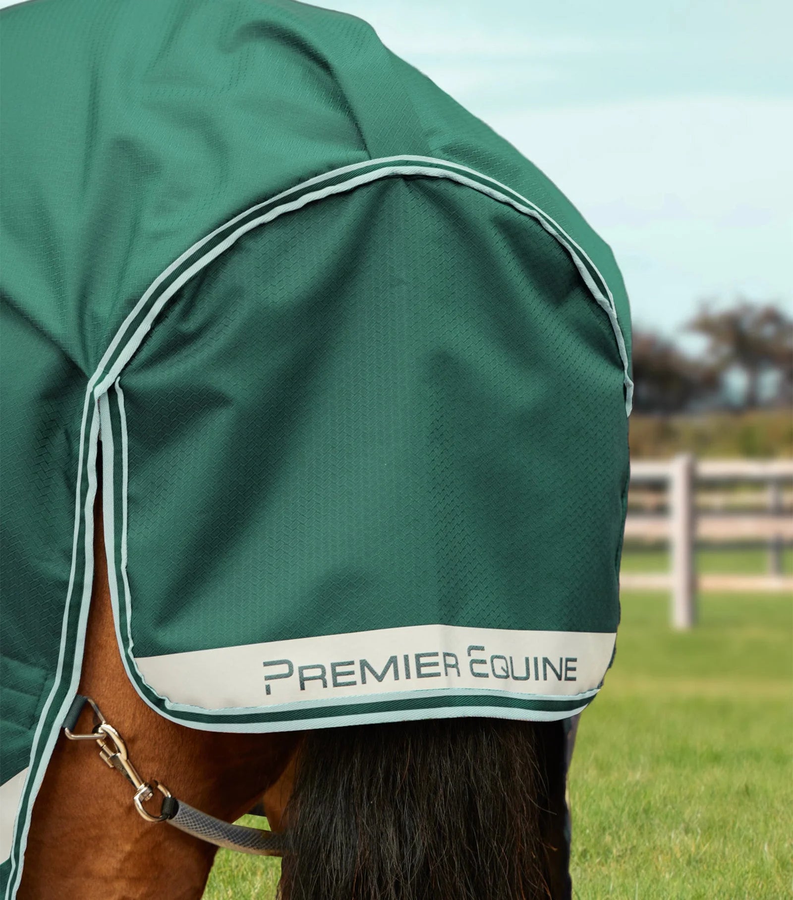 Green Premier Equine Stratus 600D 100g turnout rug with neck cover on a horse. Waterproof and breathable.