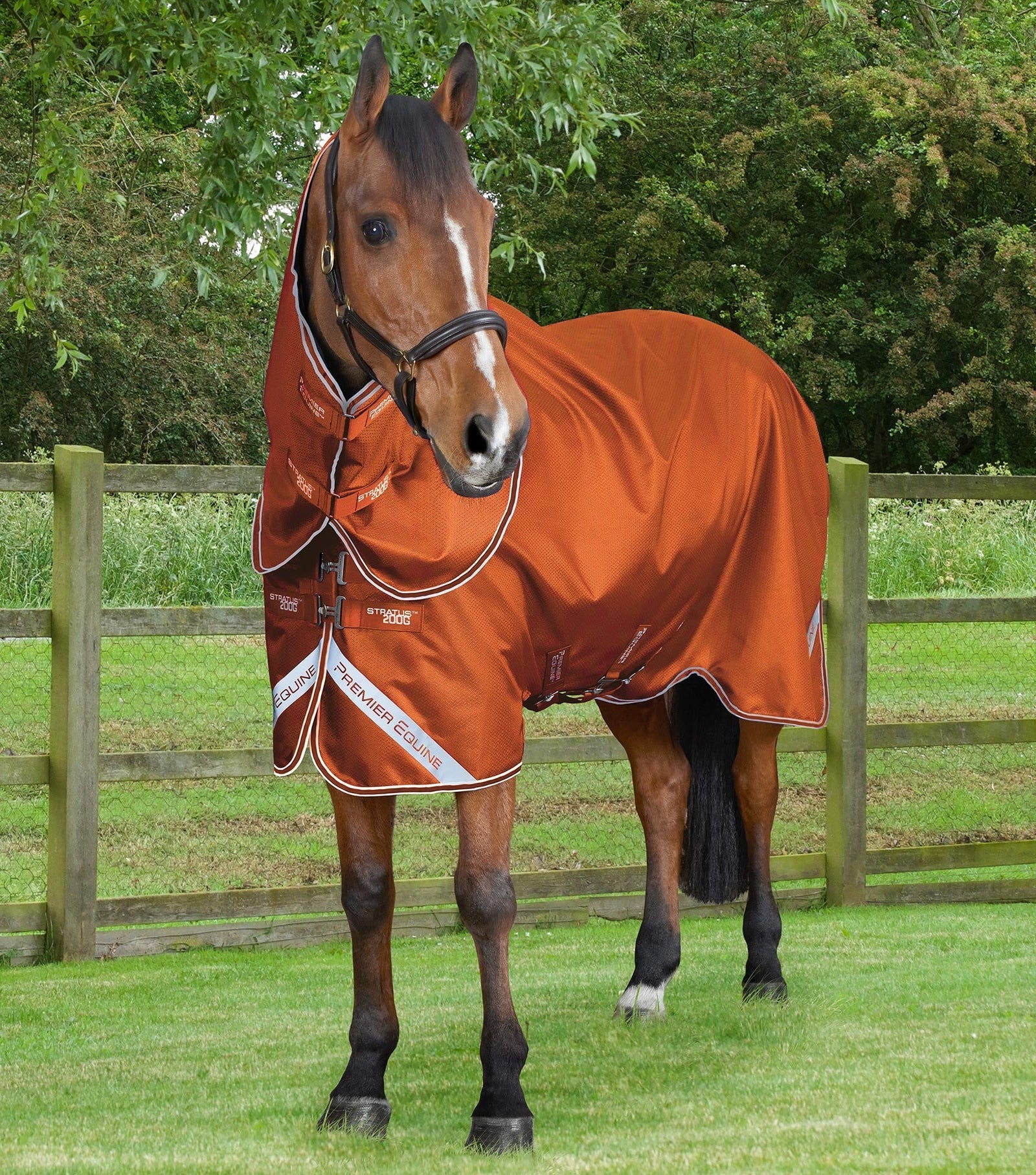Orange Horse Turnout Rug with Neck Cover | Waterproof & Breathable Premier Equine Rug