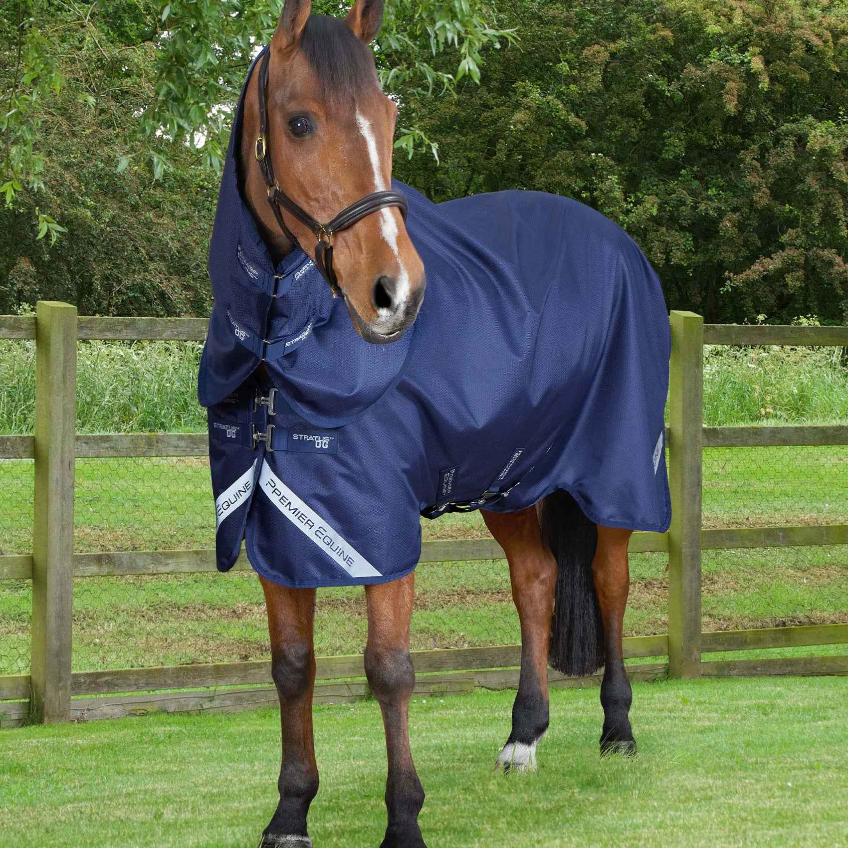 Premier Equine Stratus 600D Series 0g Turnout Rug with Classic Neck Cover Navy