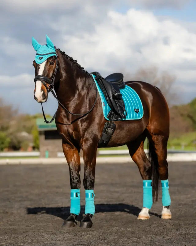 LeMieux Loire Classic Dressage Square Azure Saddle Pad on a Horse. Equestrian equipment by Equiflair.
