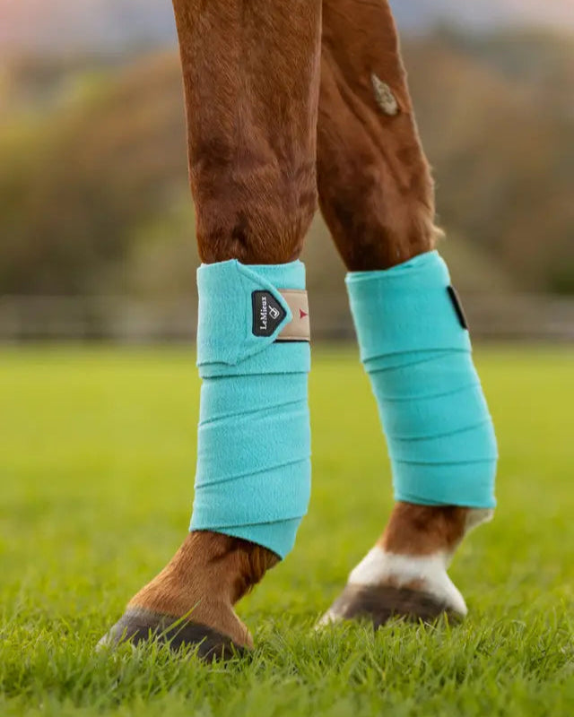 LeMieux Azure Polo Bandages on Horse Legs: Protection & Style