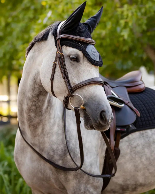 LeMieux Elite Fly Hood Black: Horse Ear Bonnet for Equestrian Riding & Fly Protection