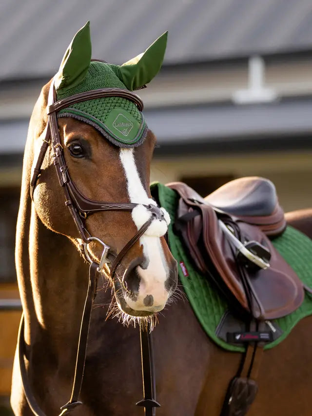 Horse wearing LeMieux Hunter Green Fly Hood | Equestrian Protection & Style